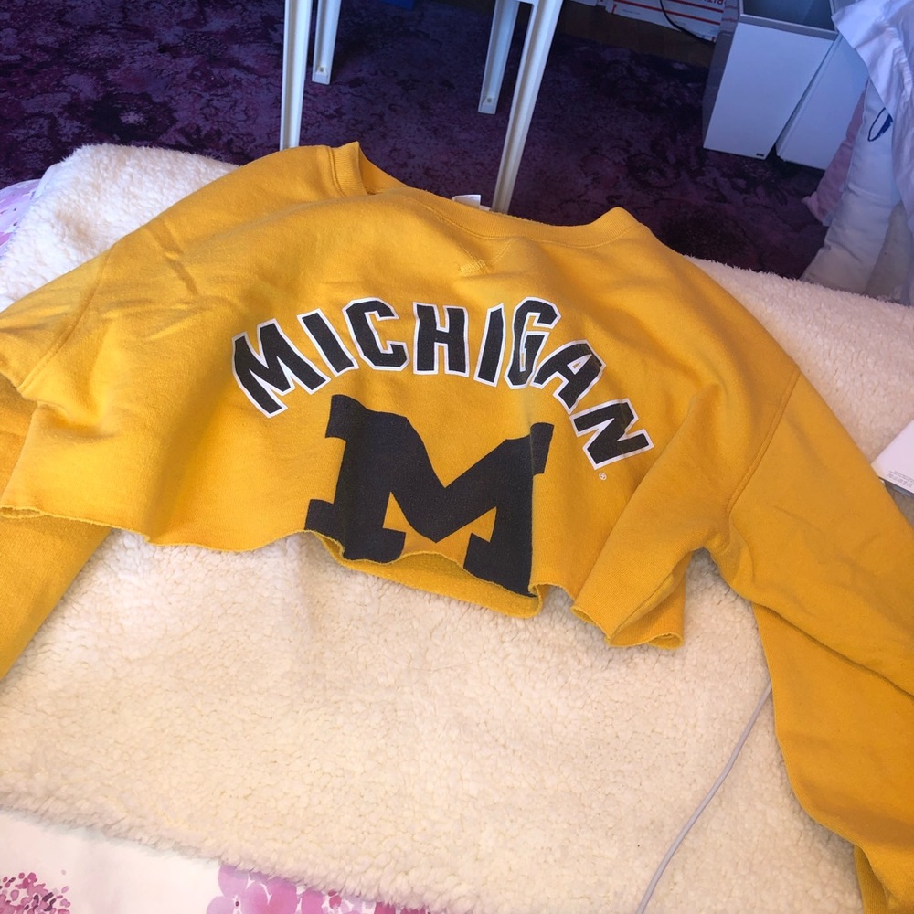 PINK Michigan cropped tailgate sweater